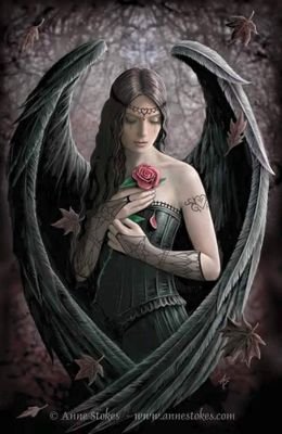 Flamini22192438's profile picture. La sola realtà è quella dentro di noi.