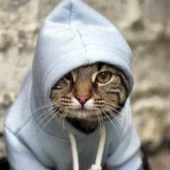 gencblog1's profile picture. Bilim Eğlence Teknoloji Bilim ve Teknoloji Filmler TV Müzik