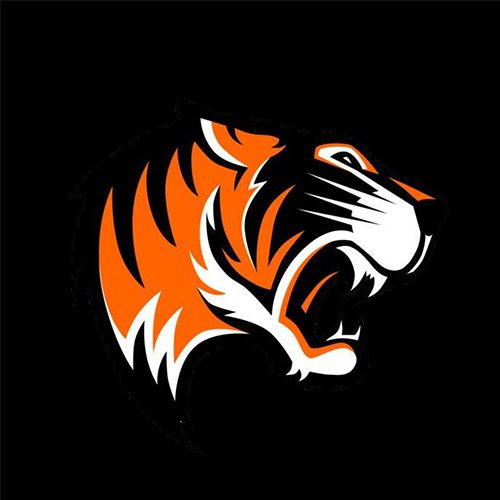 TaskoYt's profile picture. Youtuber Minecraft Okno
