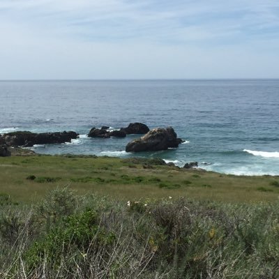 bonniecalling's profile picture. 