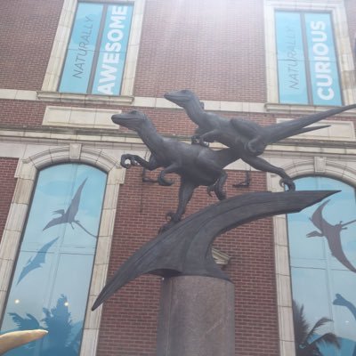 mcrabill52's profile picture. NHL Movies US & World News