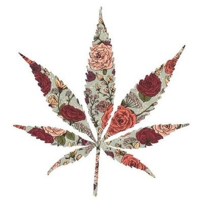 Music & Marijuana are my favorite Vices.