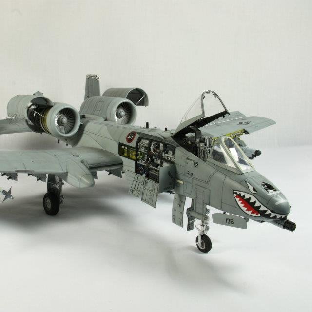 raywing_aerobat's profile picture. 