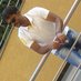 pradeep (@pradeep_brahma) Twitter profile photo pradeep (@pradeep_brahma) Twitter profile photo