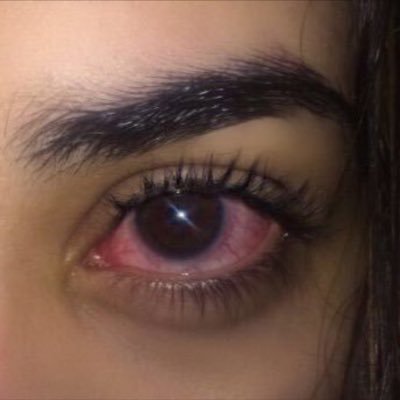 ReIatabIeasf's profile picture. take me back to paradise