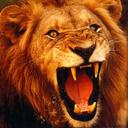 vikram mathur - @mvix10 - Twitter