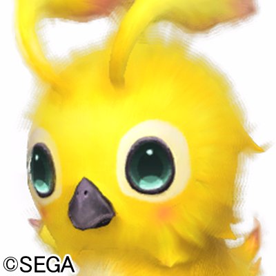 shirayukineko's profile picture. マイクラJAVA＆統合　PSO2 5&10鯖 等 チェンクロウマ娘　ラノベ　吉村達也　西村京太郎等　フォロー等お気軽に botはブロックします　ポケモン山本隊員４２３０番弟子