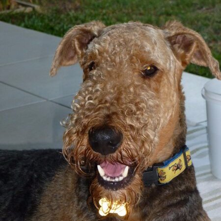 jcjqld's profile picture. Political Cynic