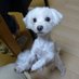 poryuito (@poryuito) Twitter profile photo poryuito (@poryuito) Twitter profile photo