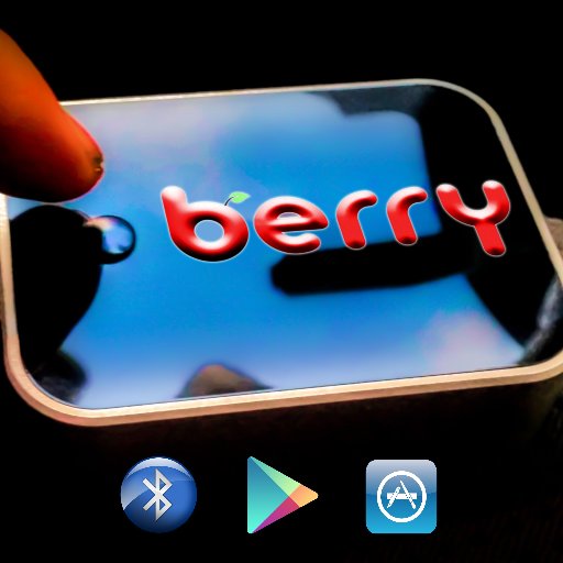 Berry Robotics is a small innovative team based in Perth, Australia. Currently they are in development of the worlds most intelligent automotive computer system