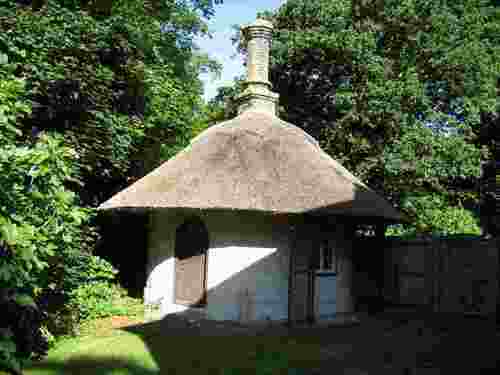 DownlineUK's profile picture. 