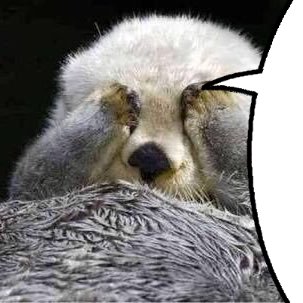 goto0002's profile picture. 取り敢えず後藤です。ラッコは寒がりで手のひらがあったかいのを発見して目を温めてます。