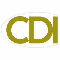 CDI (@cdevimpact) 's Twitter Profile