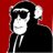 GuerraEnLaSelva's profile image