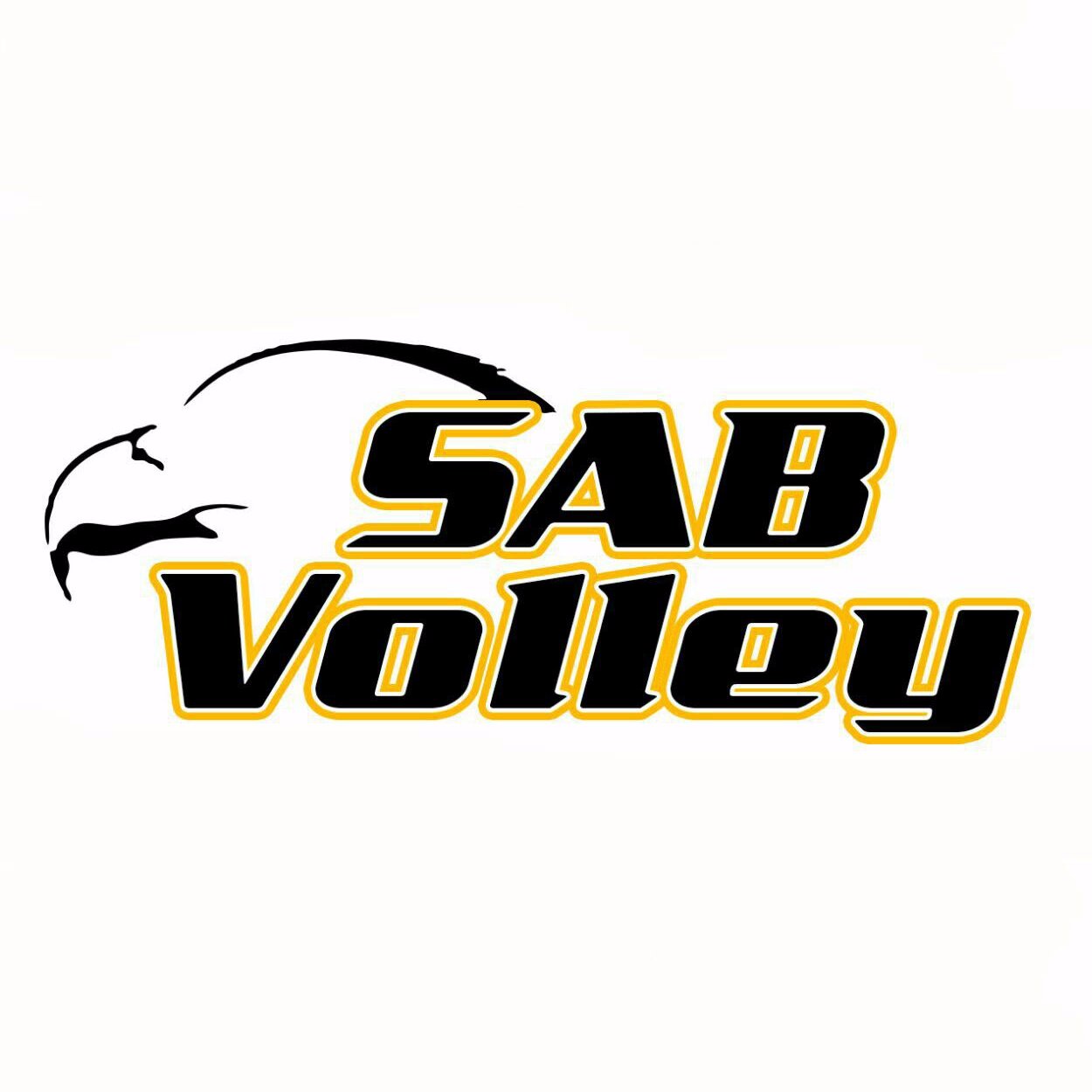 SAB Volley on Twitter 