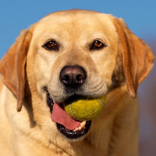 swastikawebtech's profile picture. Mobile/Web Designing & Development #skype : poojatechicalhelp #hangout : poojatechicalhelp@gmail.com