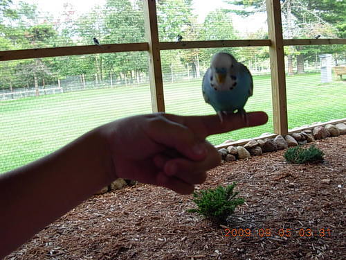 A General Contractor who is a Father of 3 Girls and Enjoys  Knowledge of Health& Tech/Geeky world.