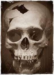 Artus14819136's profile picture. 