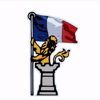 compte francophone sur nufc, Newcastle, son histoire et sa region.