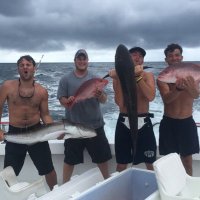 Burt (@goodoleburt) 's Twitter Profile