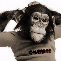 G-Monkee (@therealgmonkee) 's Twitter Profile