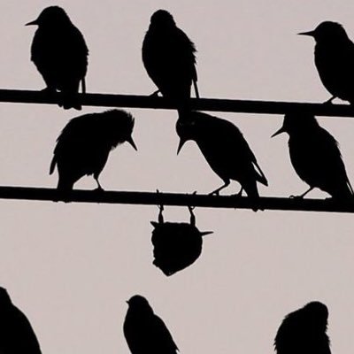 Magloop360's profile picture. 