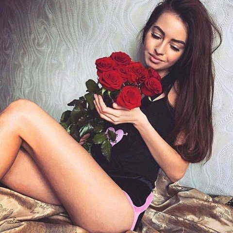 vogelfan1's profile picture. 