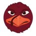 Steve (@scghokie) Twitter profile photo Steve (@scghokie) Twitter profile photo