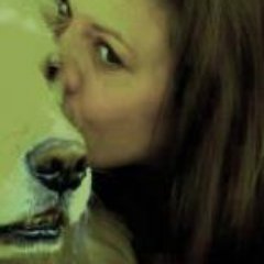 SJ_Megamicrobes's profile picture. 