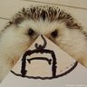 katrxa's profile picture.