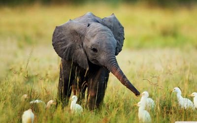 Safari and game reserve options in South Africa, Namibia and Botswana. Best rates! #Safari #South Africa #Lodges Follow us on Instagram @safaristays #safaristay