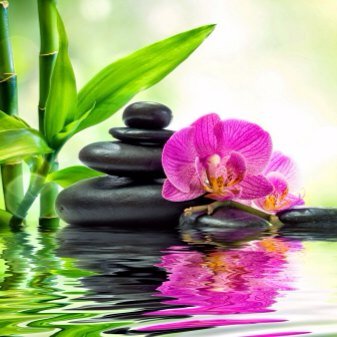I am passionate about all things spa to improve health & wellness, promote relaxation & decrease stress, and have a great time along the way 😀