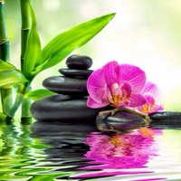 SpaAndTheCity (@spaandthecity1) 's Twitter Profile Photo SpaAndTheCity (@spaandthecity1) 's Twitter Profile Photo