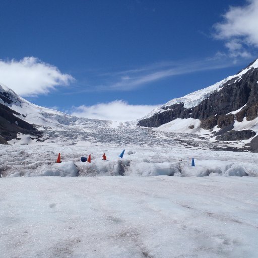 Honngzhang's profile picture. 