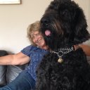 Wendy Watkins - @WendyWendywat - Twitter