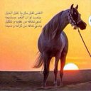 محمد (@5c5U5) Twitter