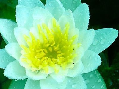 Monse017's profile picture. Egresada de Derecho, Universidad Católica del Norte