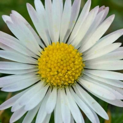 Introspective_K's profile picture. ...