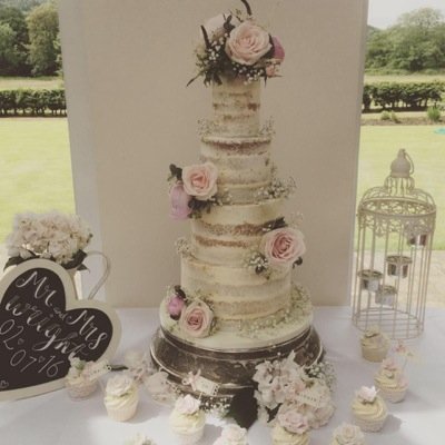 cake nerd , love home things , old things, love rabbits and my cat Calvin