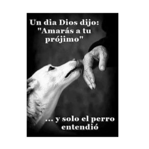 tachuela0414's profile picture. 