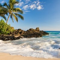 Detlef Shrimp (@grizindabox) 's Twitter Profile Photo