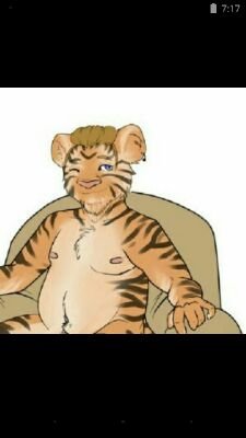 Male, 30
Furry, Tiger, bard.
Roleplay and lewd profile.