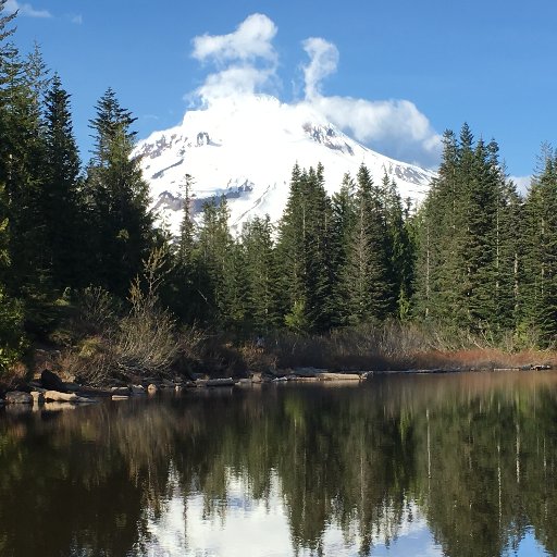 bladayah's profile picture. 