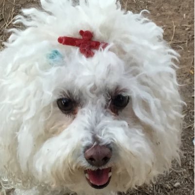 AliceJane2016's profile picture. 