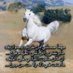 ابوبندر (@1401_amer) Twitter profile photo ابوبندر (@1401_amer) Twitter profile photo