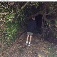 Tyler Gibbs (@gyler_tibbs) 's Twitter Profile