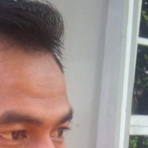 lintau1975's profile picture. 