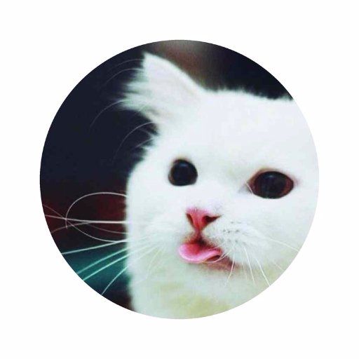 svbackend's profile picture. Just another backend developer.