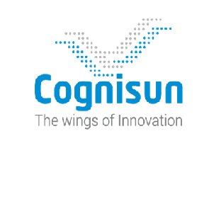 Cognisun Infotech Pvt Ltd is a dedicated, quality-oriented, dynamic team that combines technical expertise, industry’s proven practices, and spirited workforce.