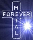 lintschi33's profile picture. 